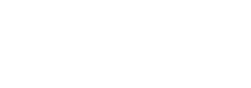 Fortizon Digital Solutions