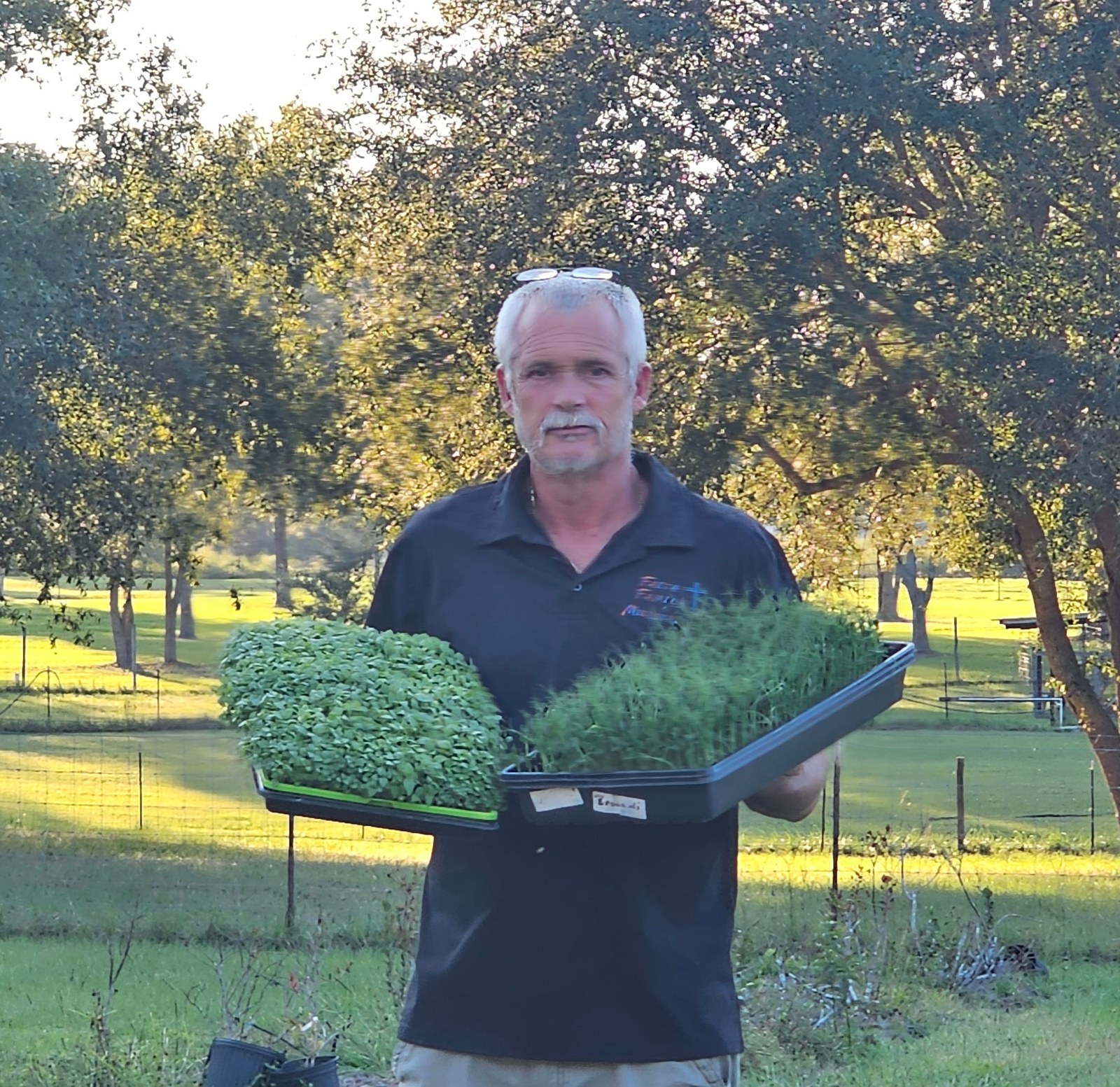 David Hall carrying two trays of microgreens on the farm in Fort White, Florida