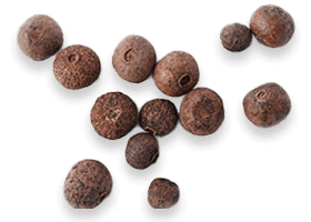  BioPerine