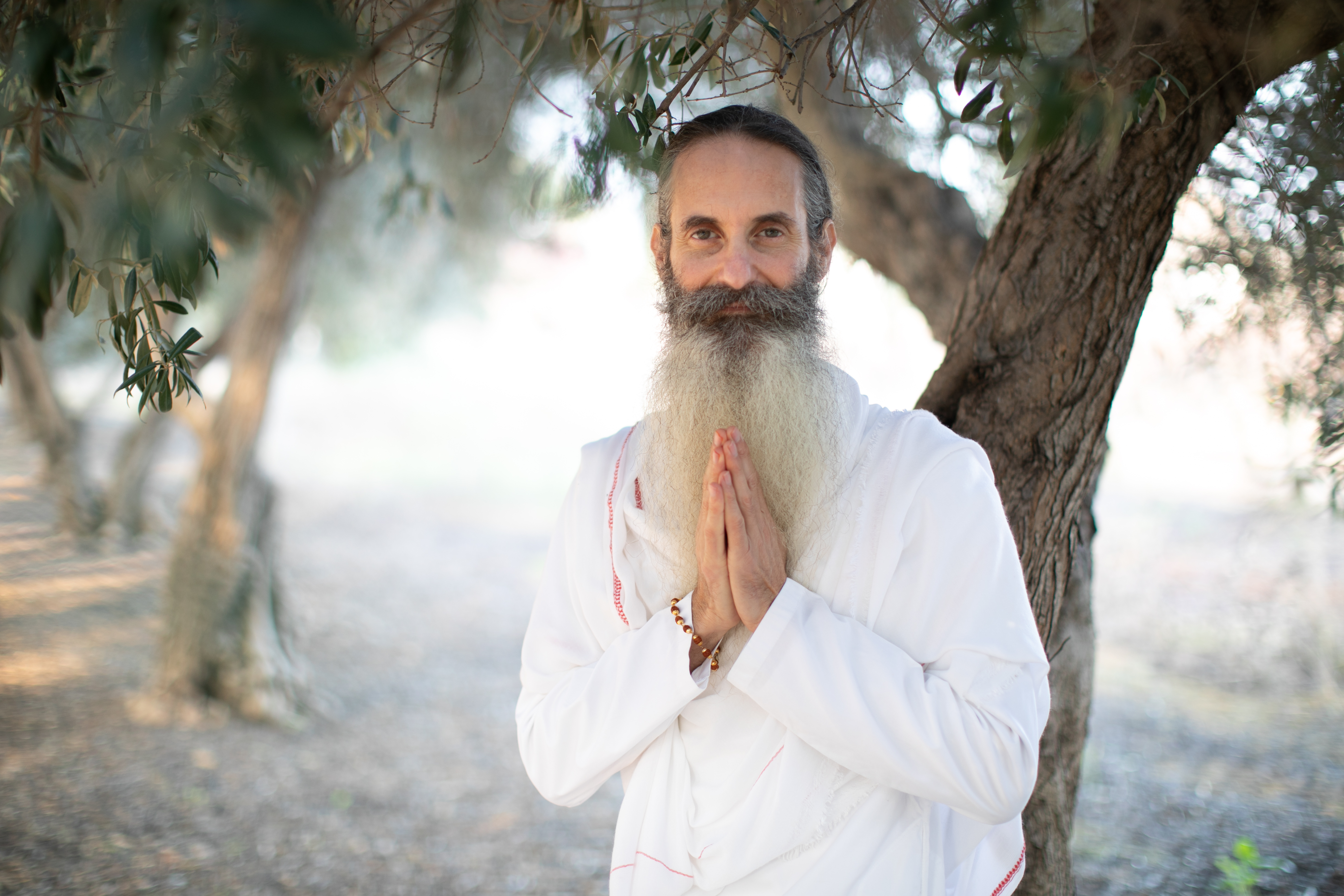 Dayananda Das
