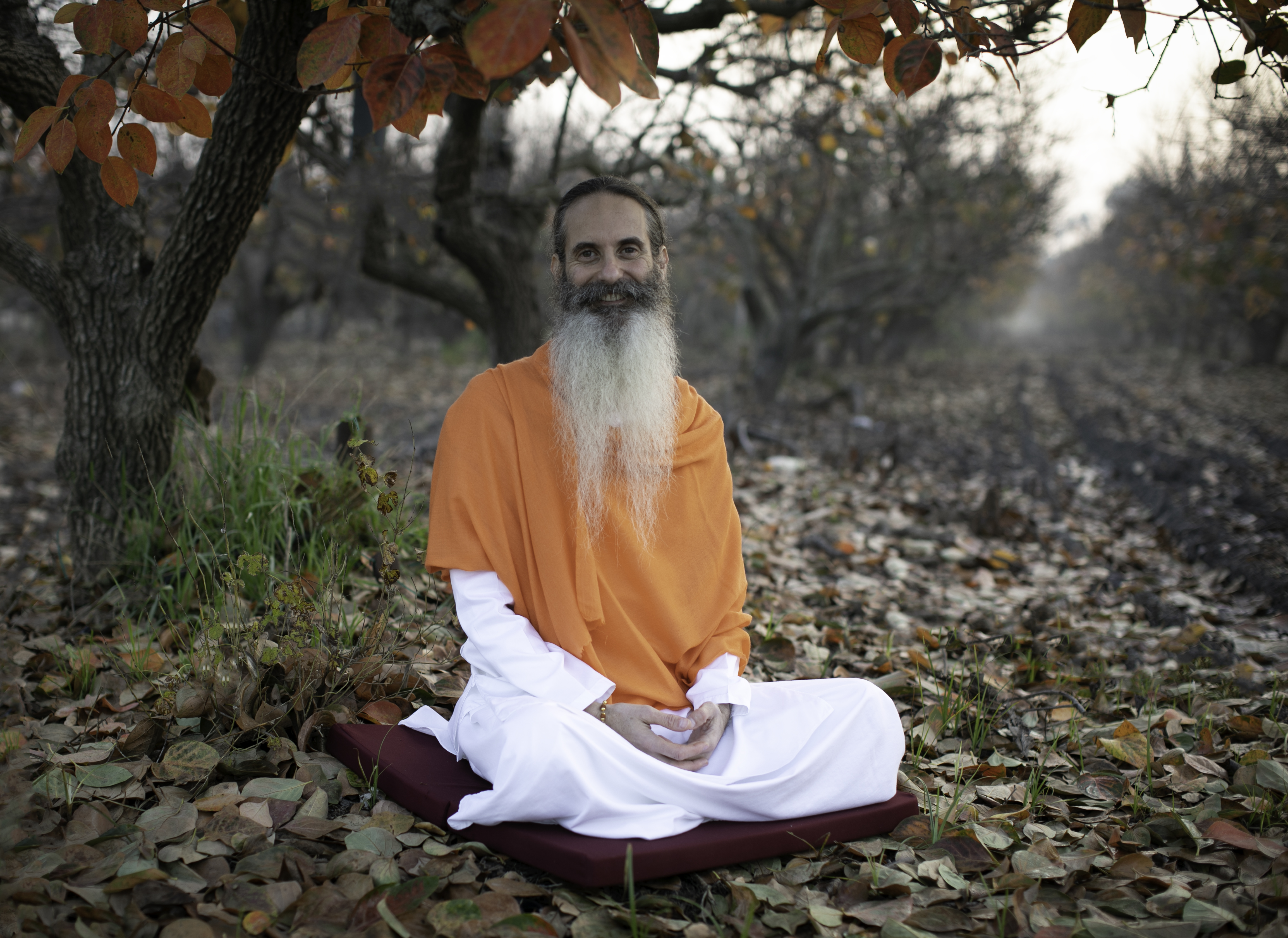Dayananda Das