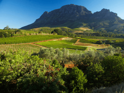 Stellenbosch Electrical Installation