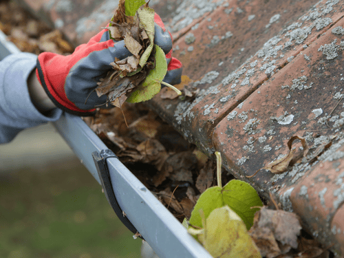 Free gutter cleaning before gutter guard installation