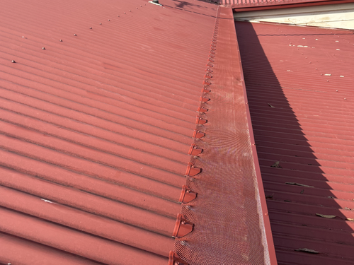 Corrugated gutter guard — white rural property
