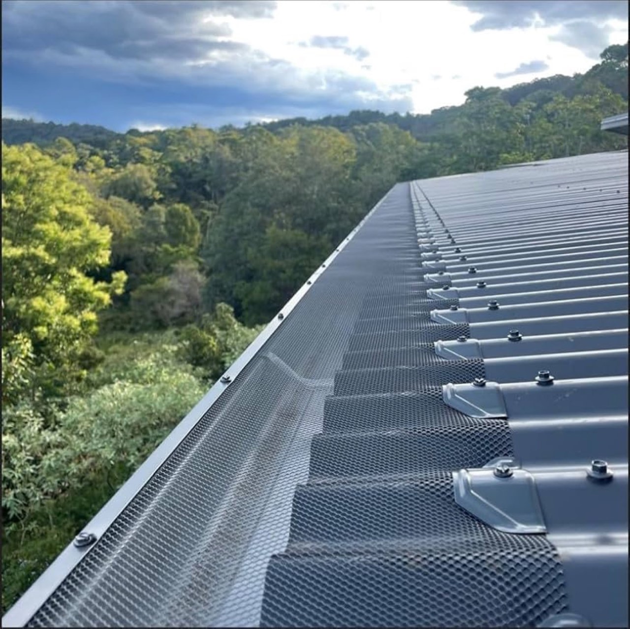 Gutter guard on a metal roof backing onto bushland