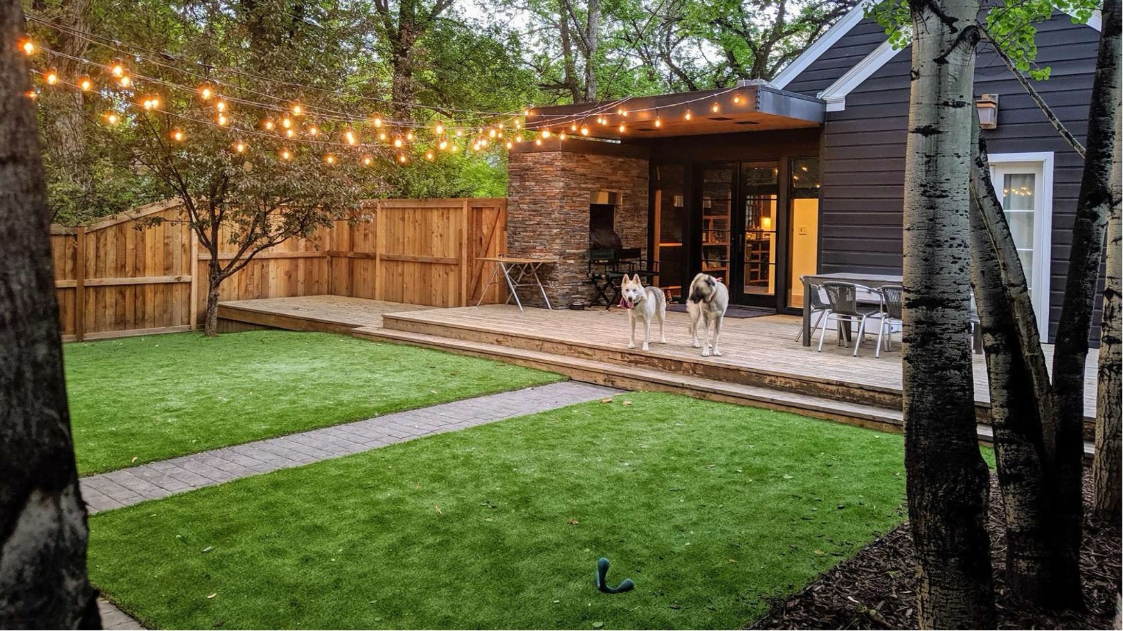 a turf covered backyard with patio and a few dogs