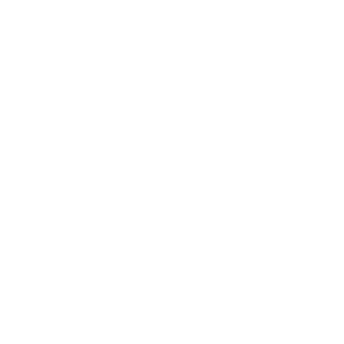 Amora Photography