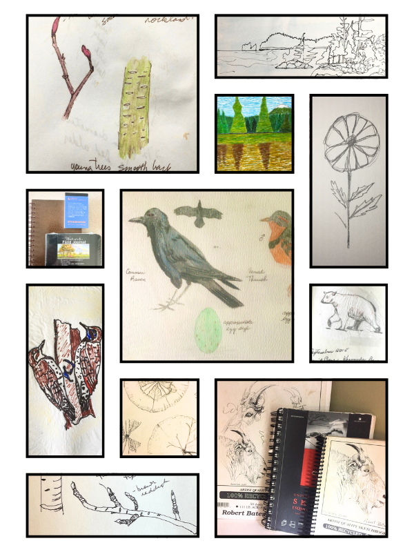 Naturalist's Notebook Challenge