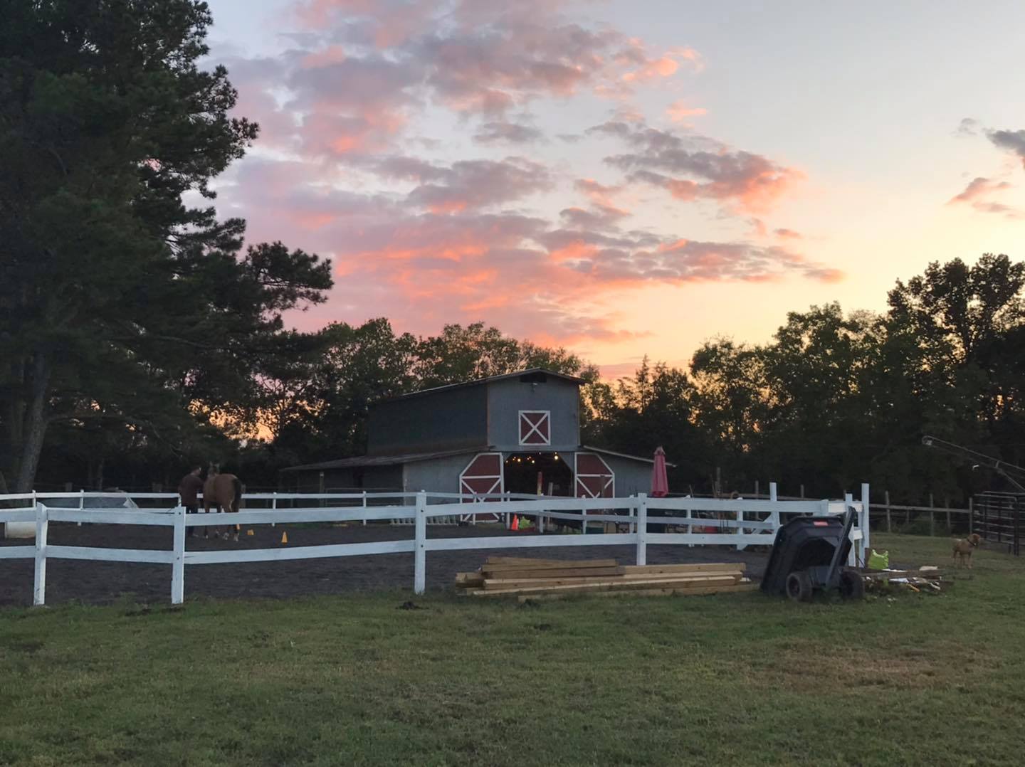 Chattanooga Horse Boarding I Home