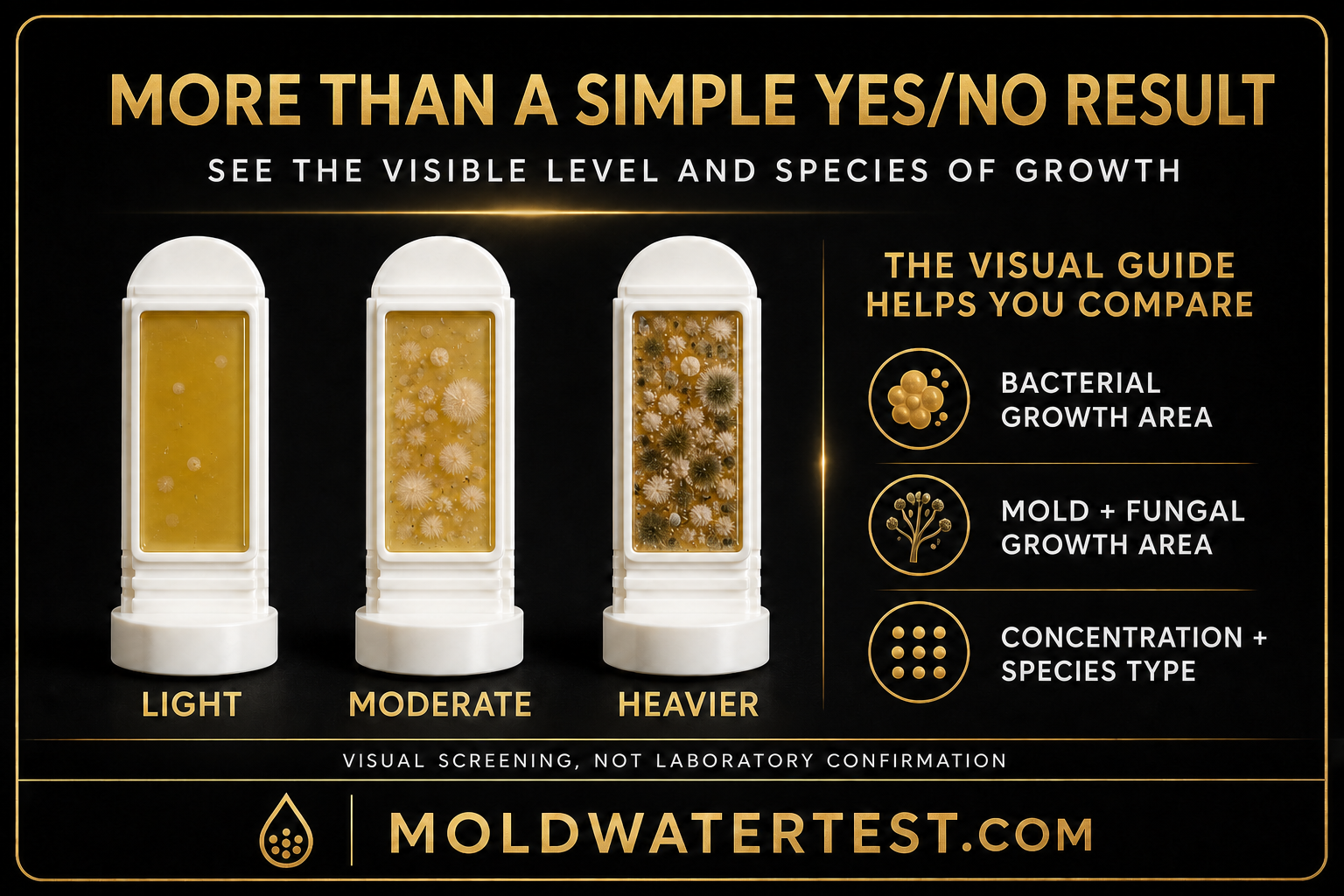 More than a simple yes or no result, showing visible growth levels, bacterial and mold or fungal screening areas, concentration, and species type