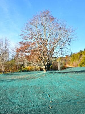 {{ custom_values.service_3 }} in {{custom_values.area_2})