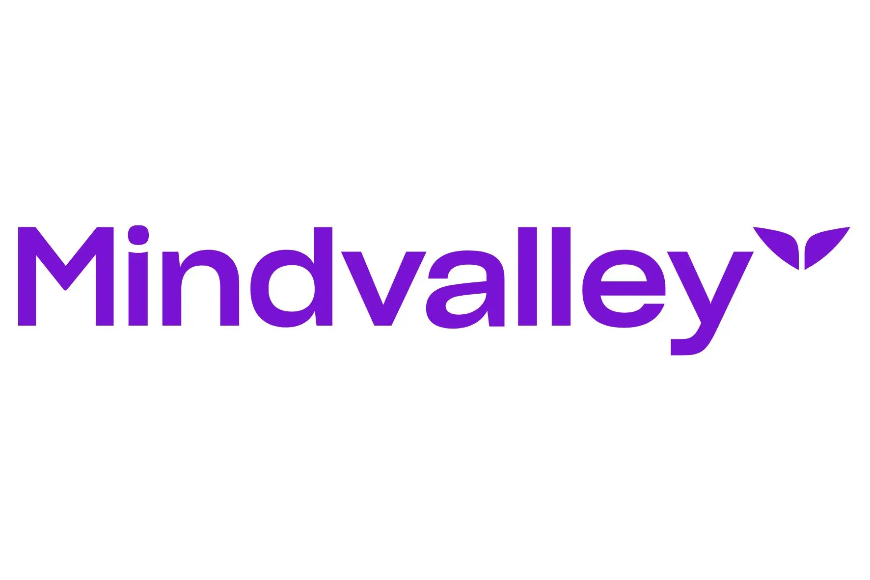 Mindvalley logo — Trusted Personal Growth and Human Transformation Partner of New Dawn Solutions Marketing and Consulting Agency | Mindset Mastery, Life Transformation, and Visionary Brand Values