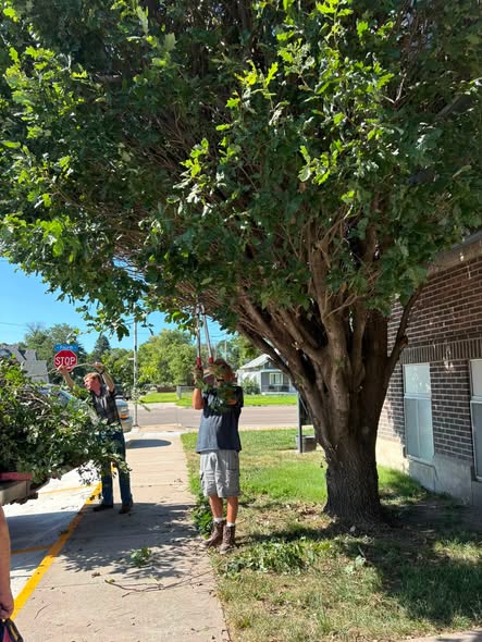 Members serving — landscaping and yard cleanup