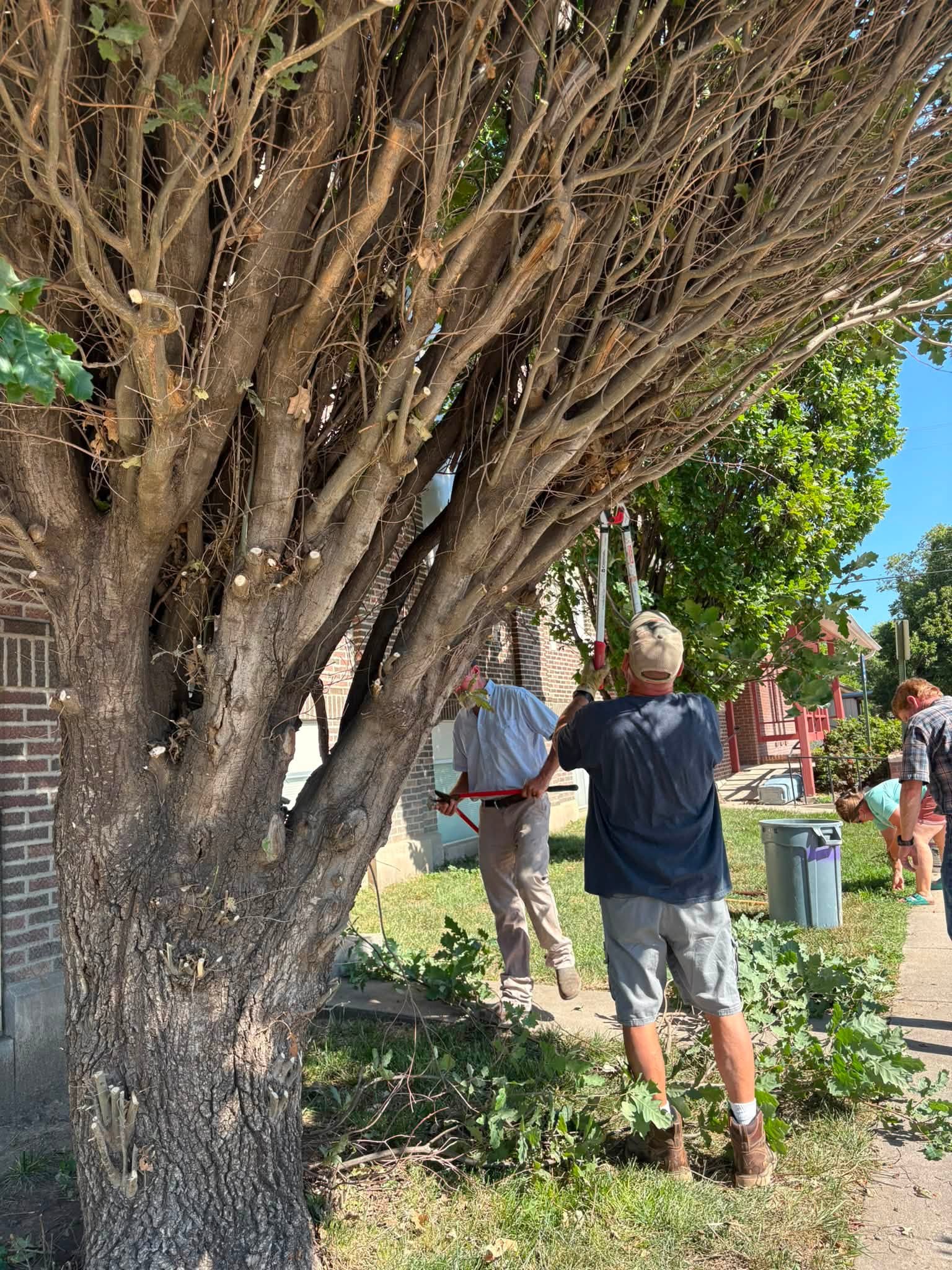 Members serving — landscaping and yard cleanup