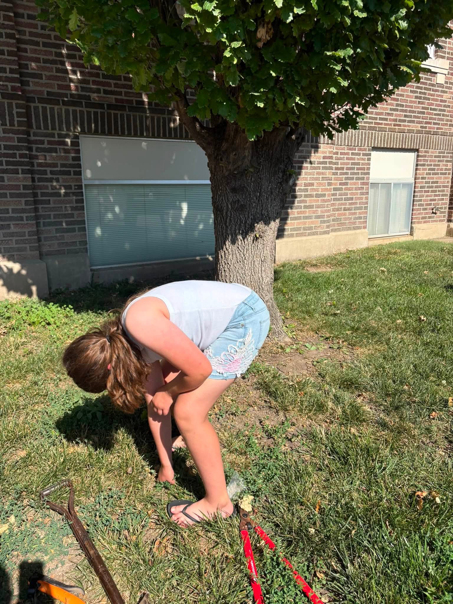 Members serving — landscaping and yard cleanup