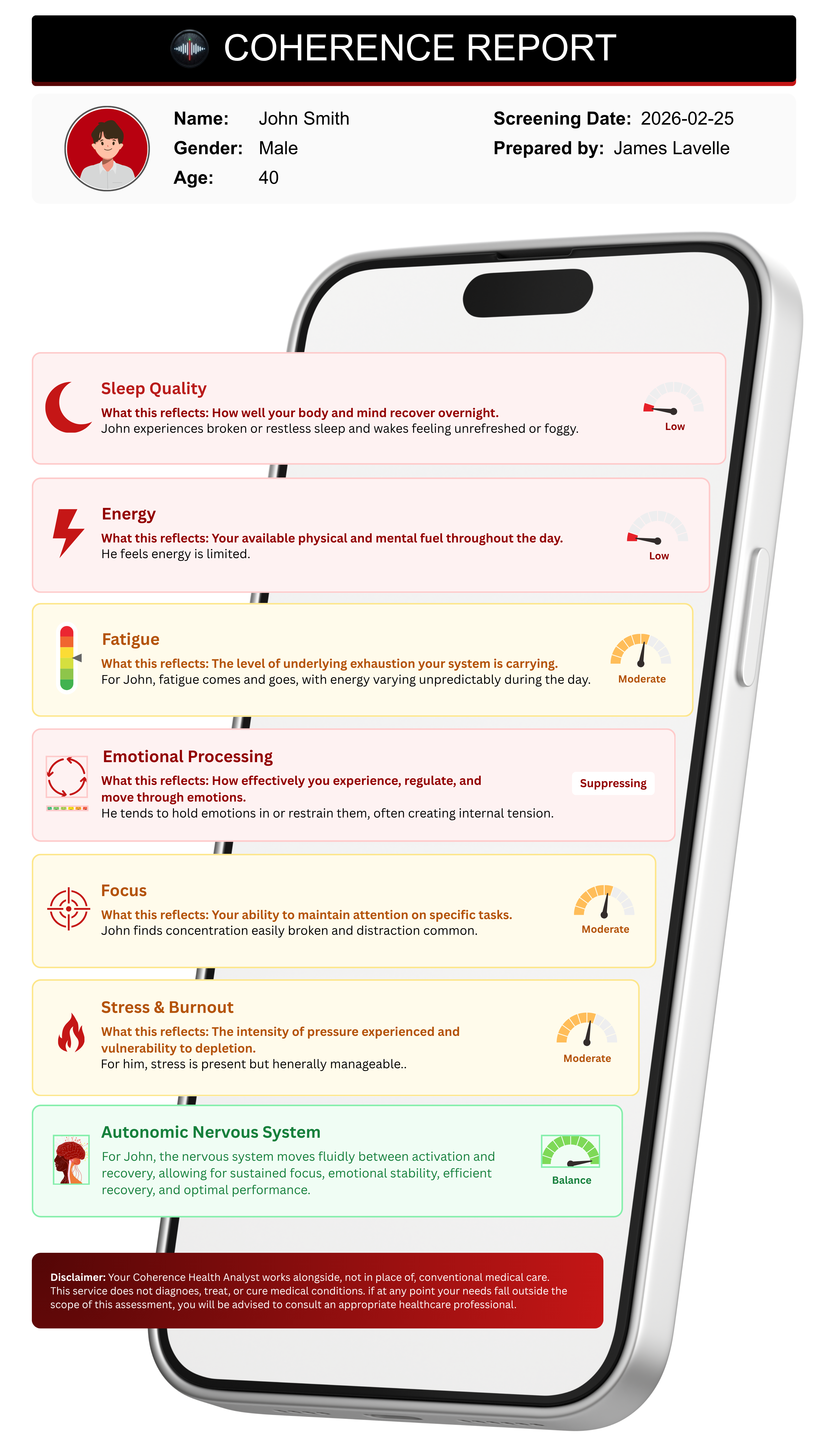 Personalised Coherence Report Mockup