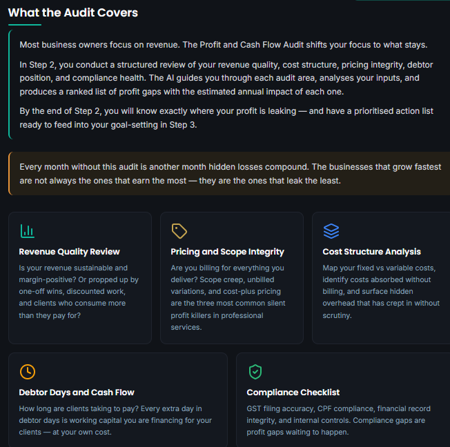 ProfitMax Profit and Cash Flow Audit