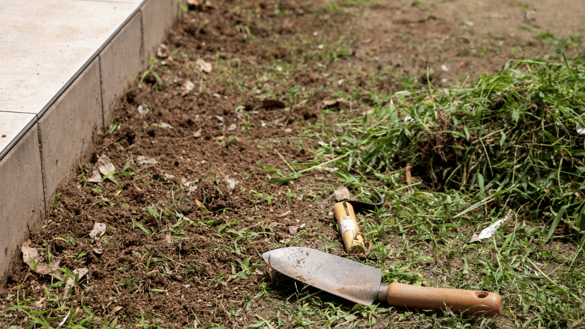 Weeding in Hackettstown