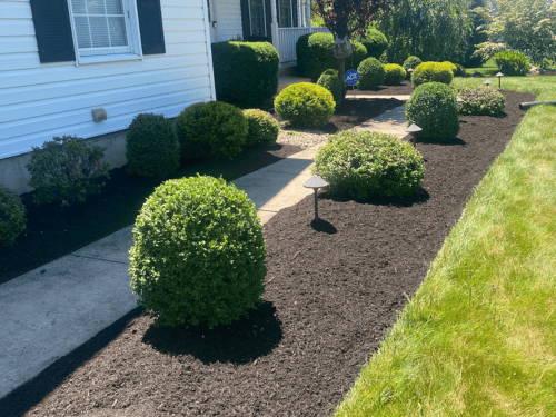 Snow Removal Hackettstown