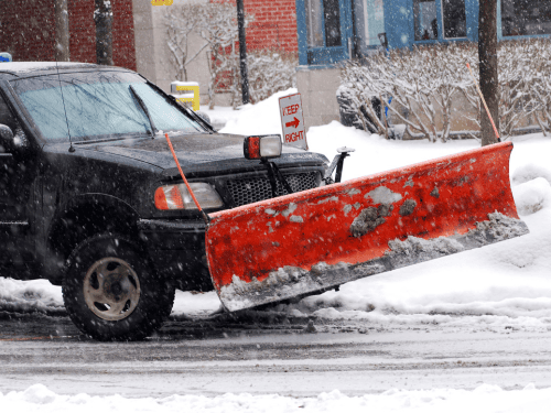 Pruning Hackettstown