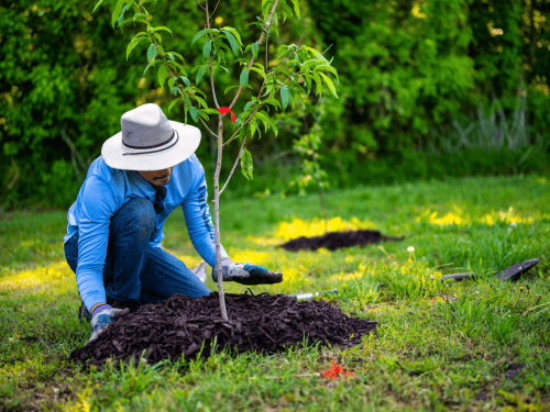 Long Valley Mulching
