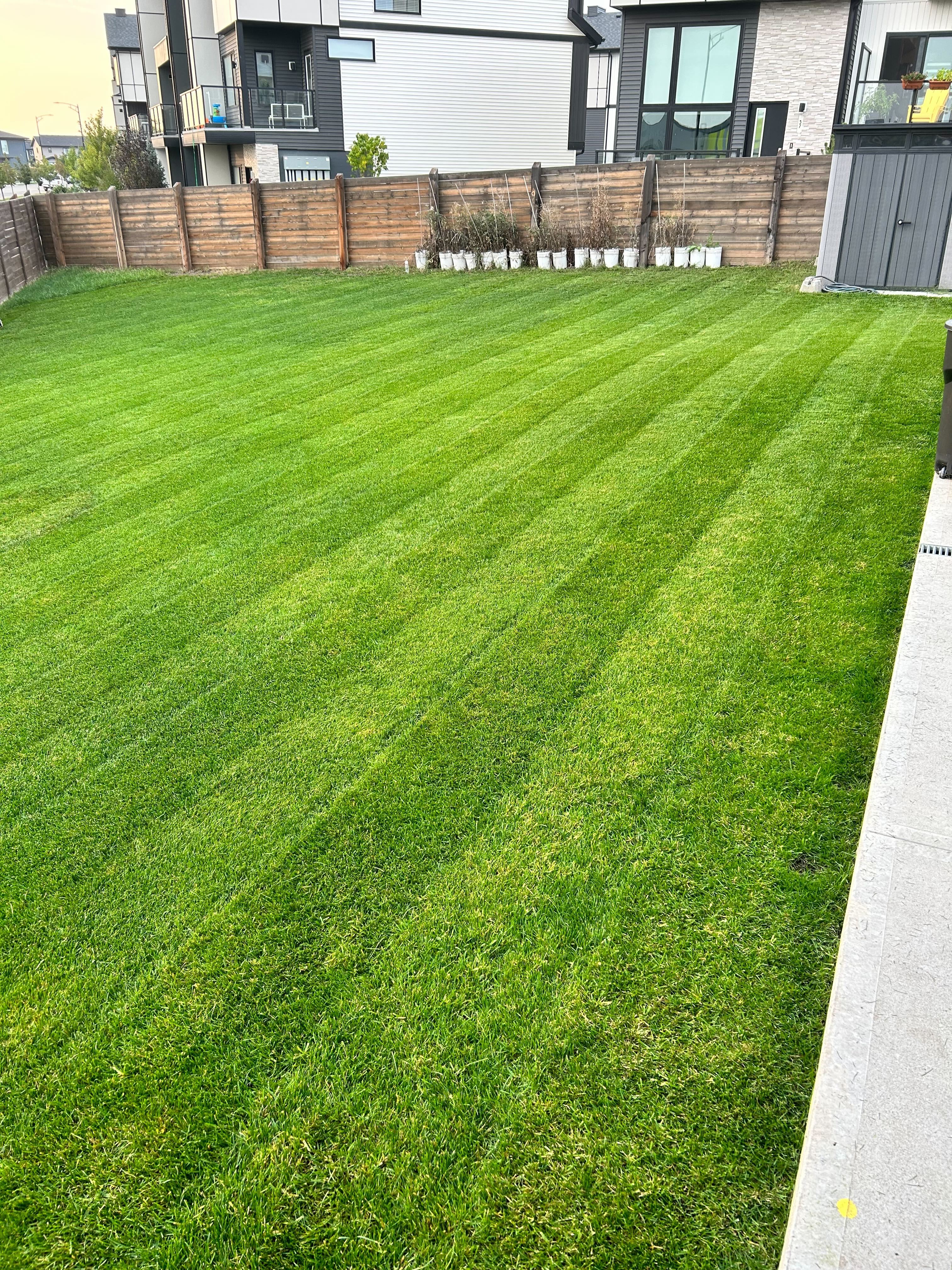 Precision Turf Results