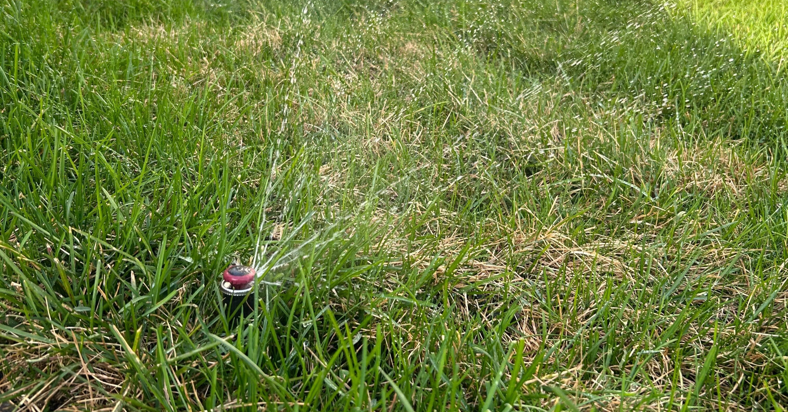 Premium Turf Landscape