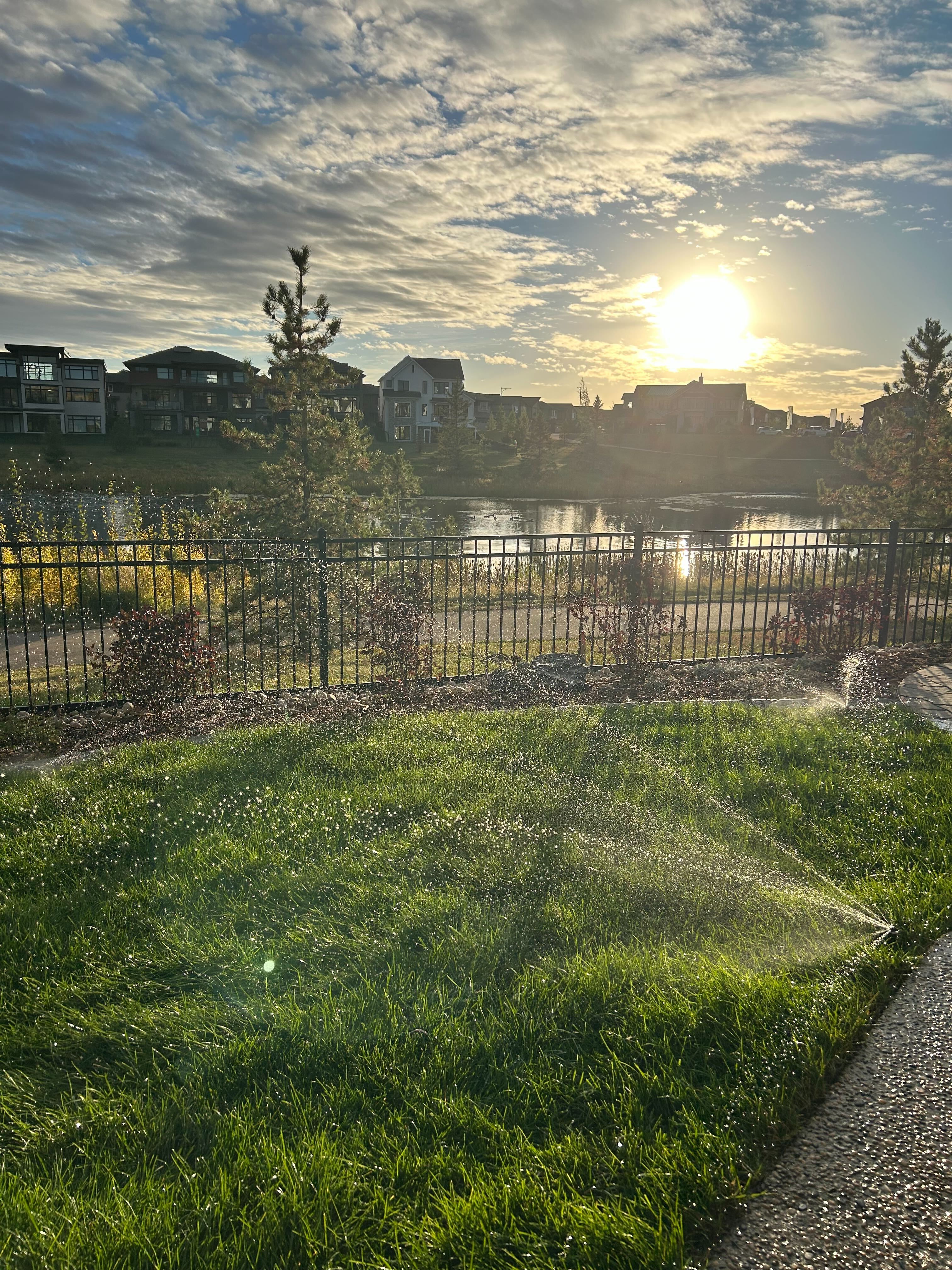 The Clareview Matrix