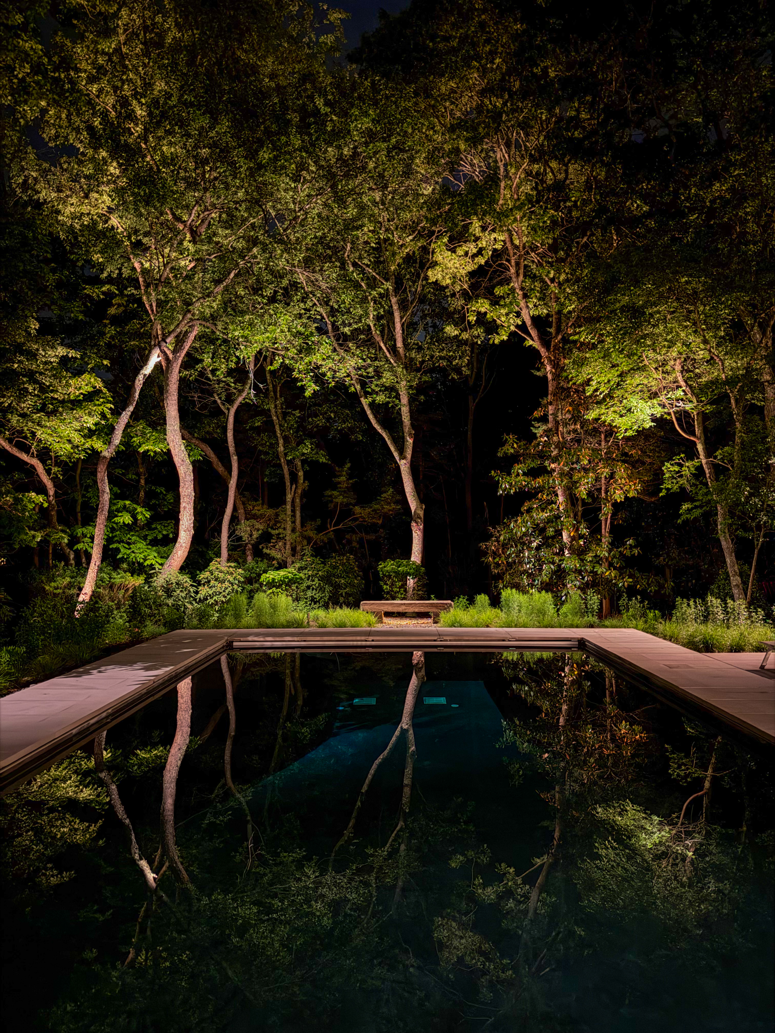 Pool reflecting uplit trees at night