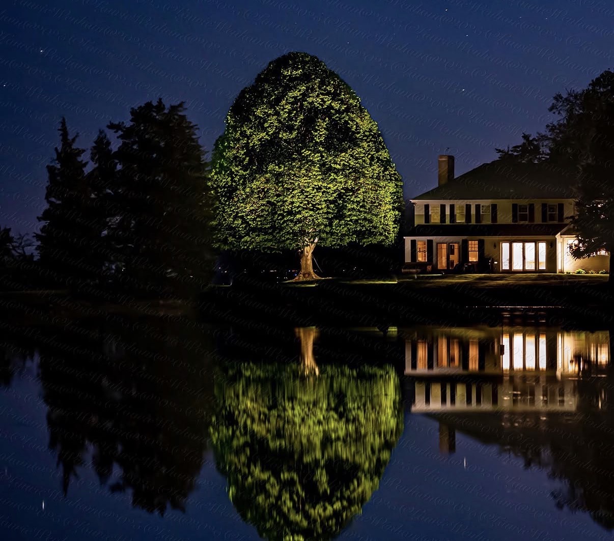 Tree and house reflected in still water at night