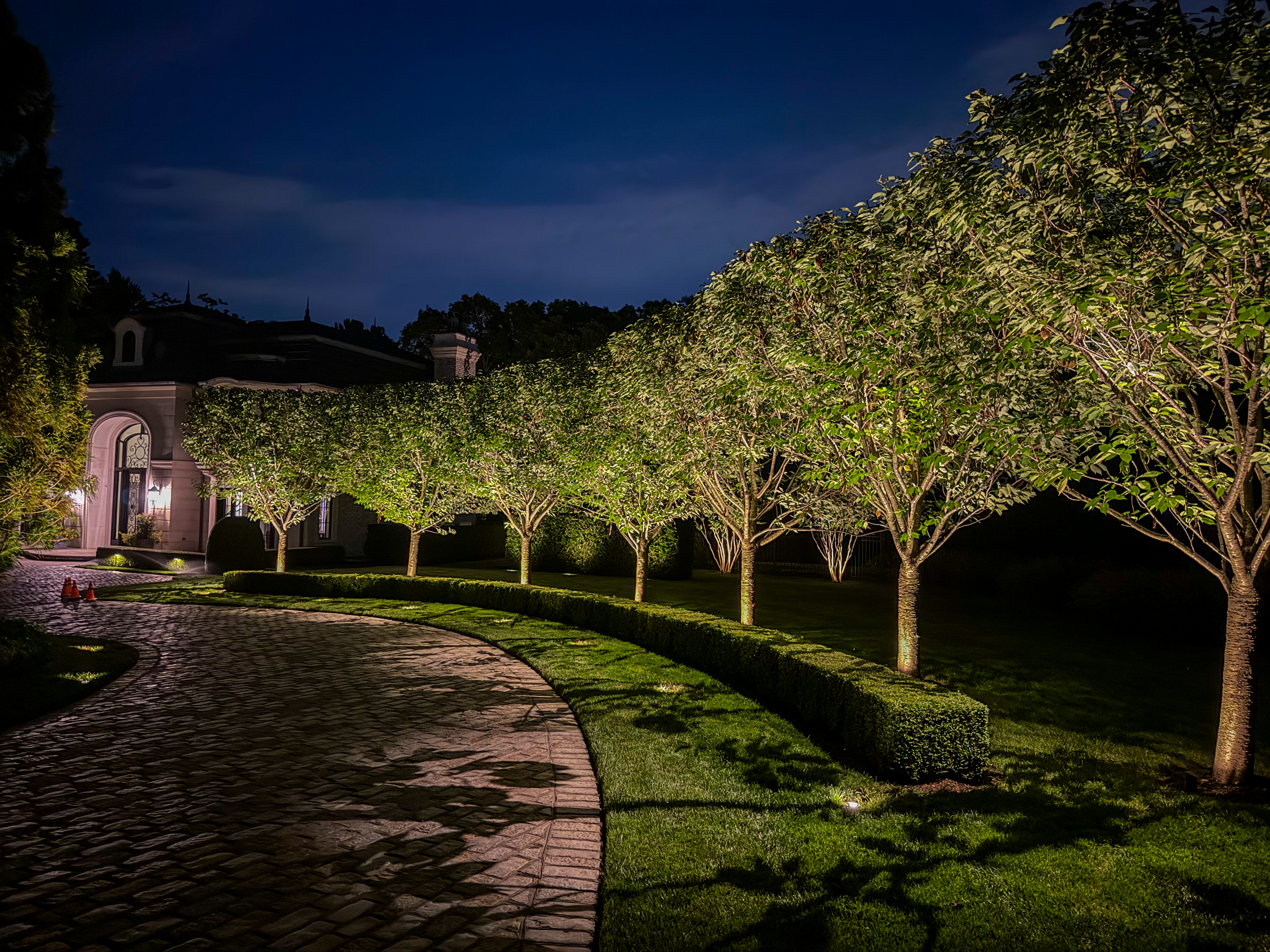 Cobblestone drive lined with uplit trees at dusk