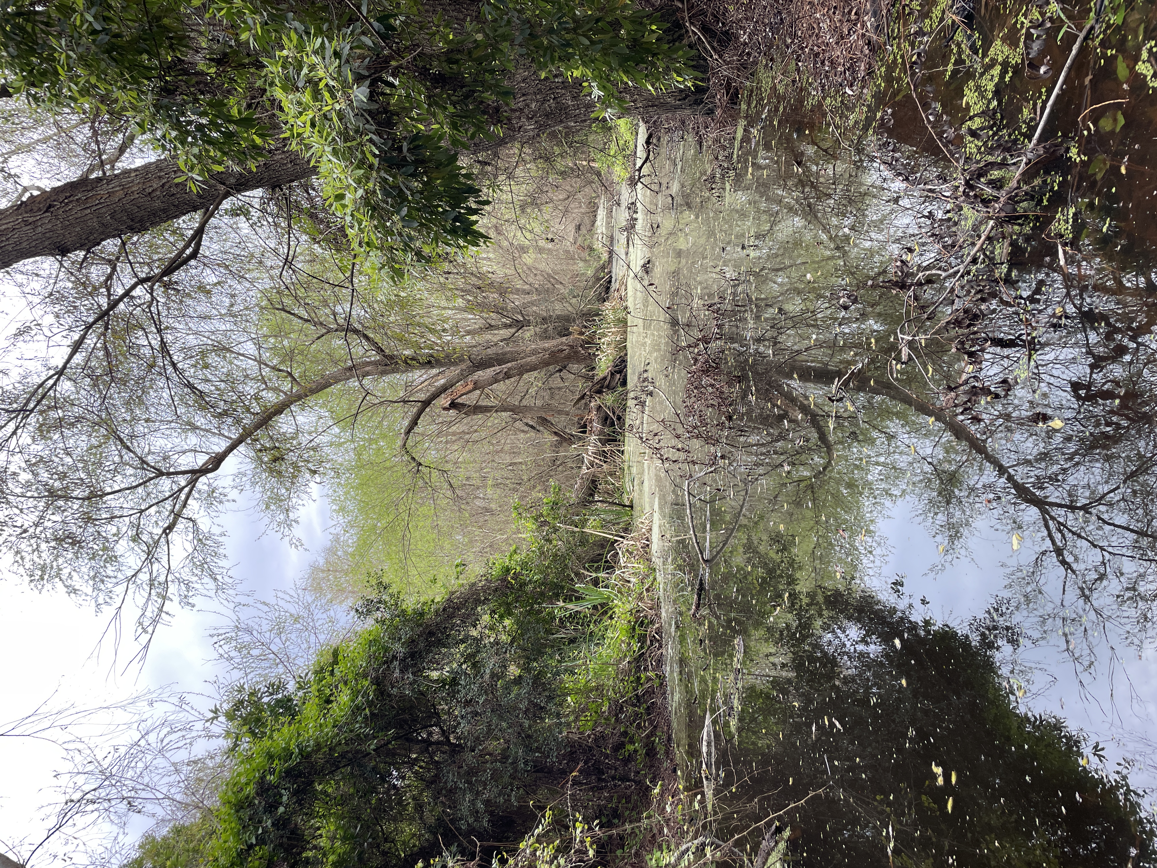 Reserva natural de 1 hectárea