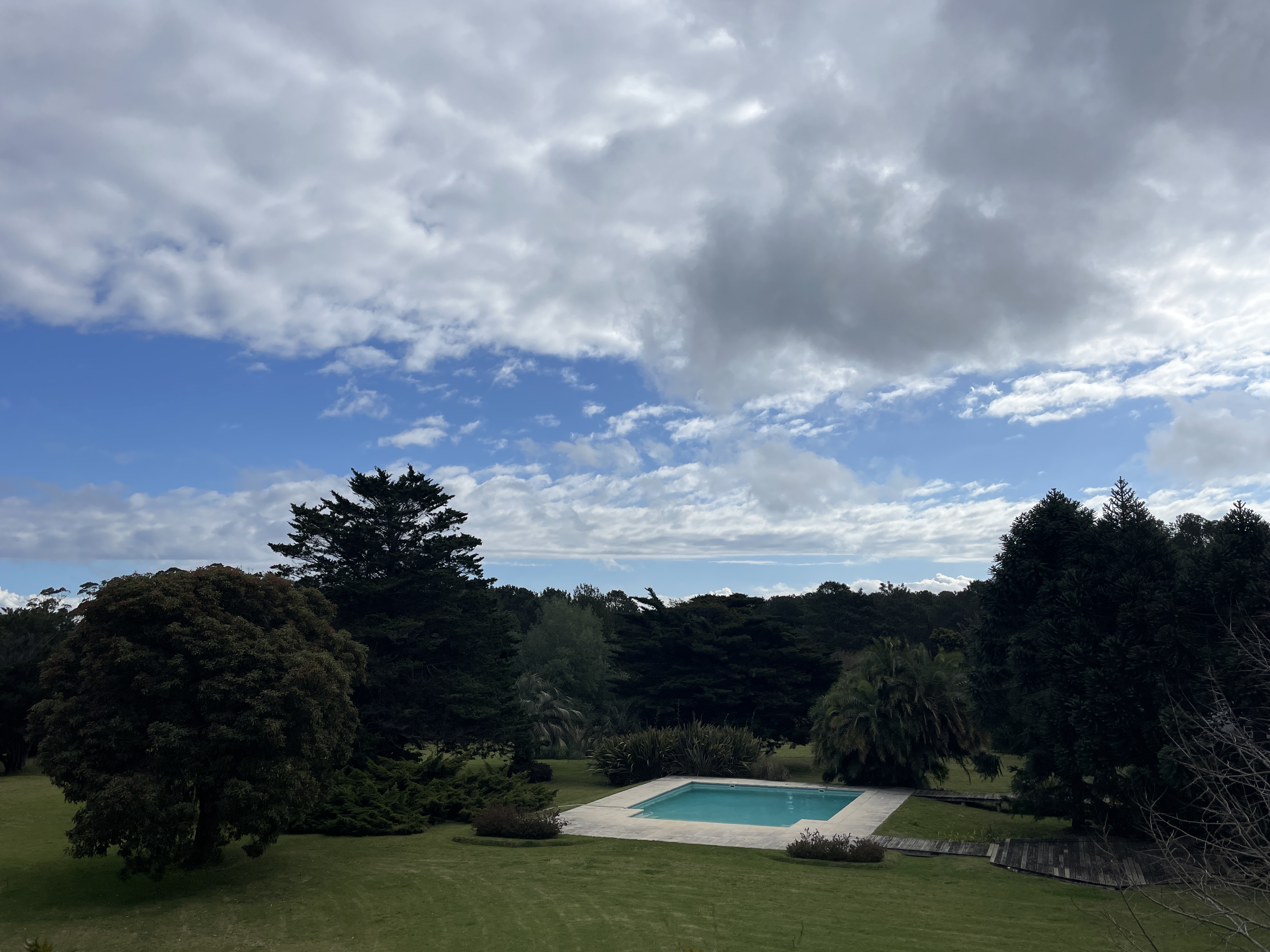 Vista panorámica del parque centenario de Vilaverde