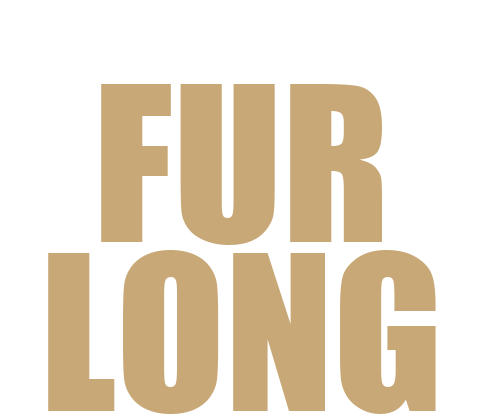 Furlong Constructions
