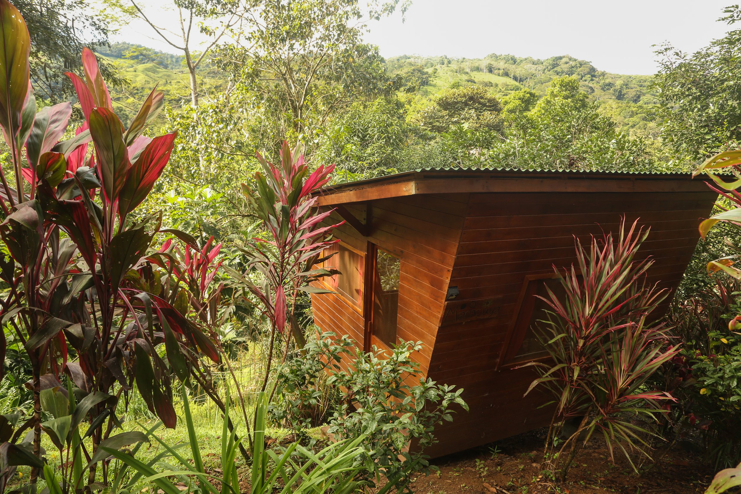 Lower Cabins
