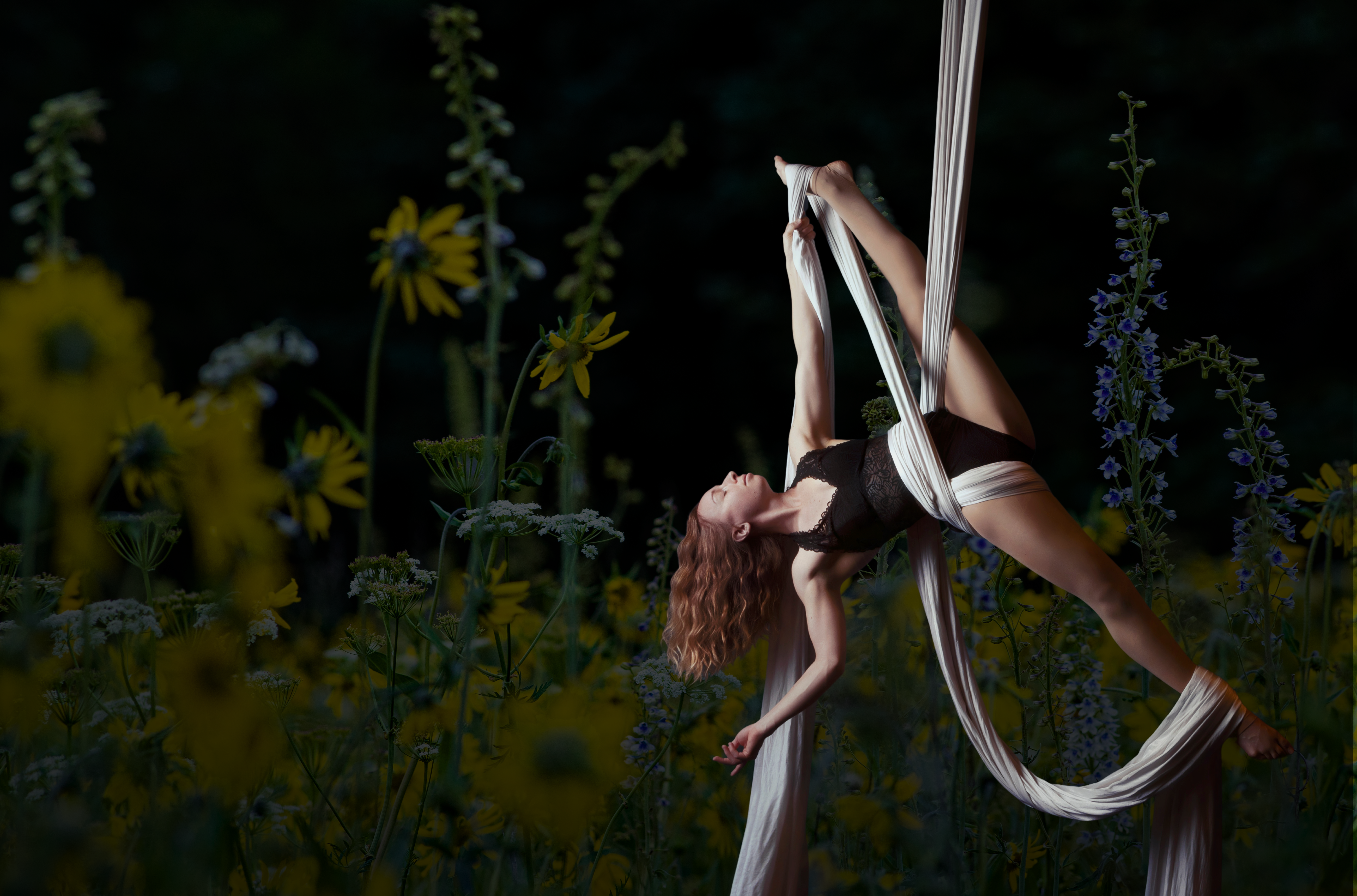 BLOOM Aerial Teacher Certification