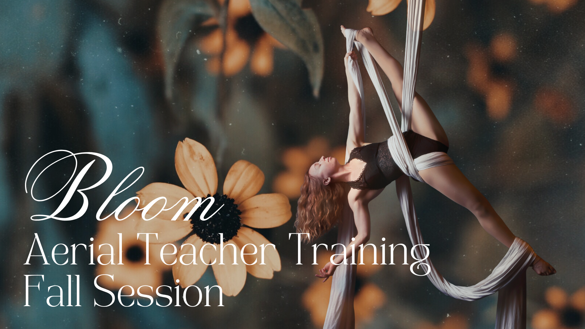 BLOOM Aerial Teacher Training fall session begins October 4th