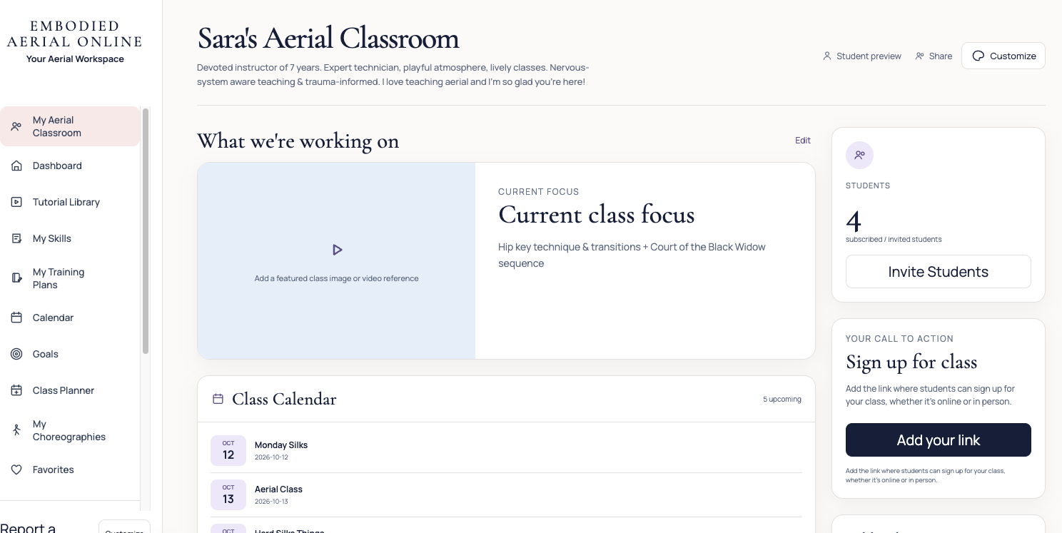 Embodied Aerial Online classroom prototype screenshot