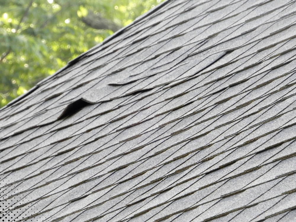 Close-up of damaged roofing shingles caused by coastal weather conditions, showing wear and tear on a home roof. Close-up of damaged roofing shingles caused by coastal weather conditions, showing wear and tear on a home roof.