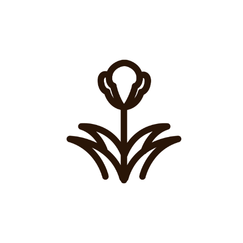 Perennials & Annuals