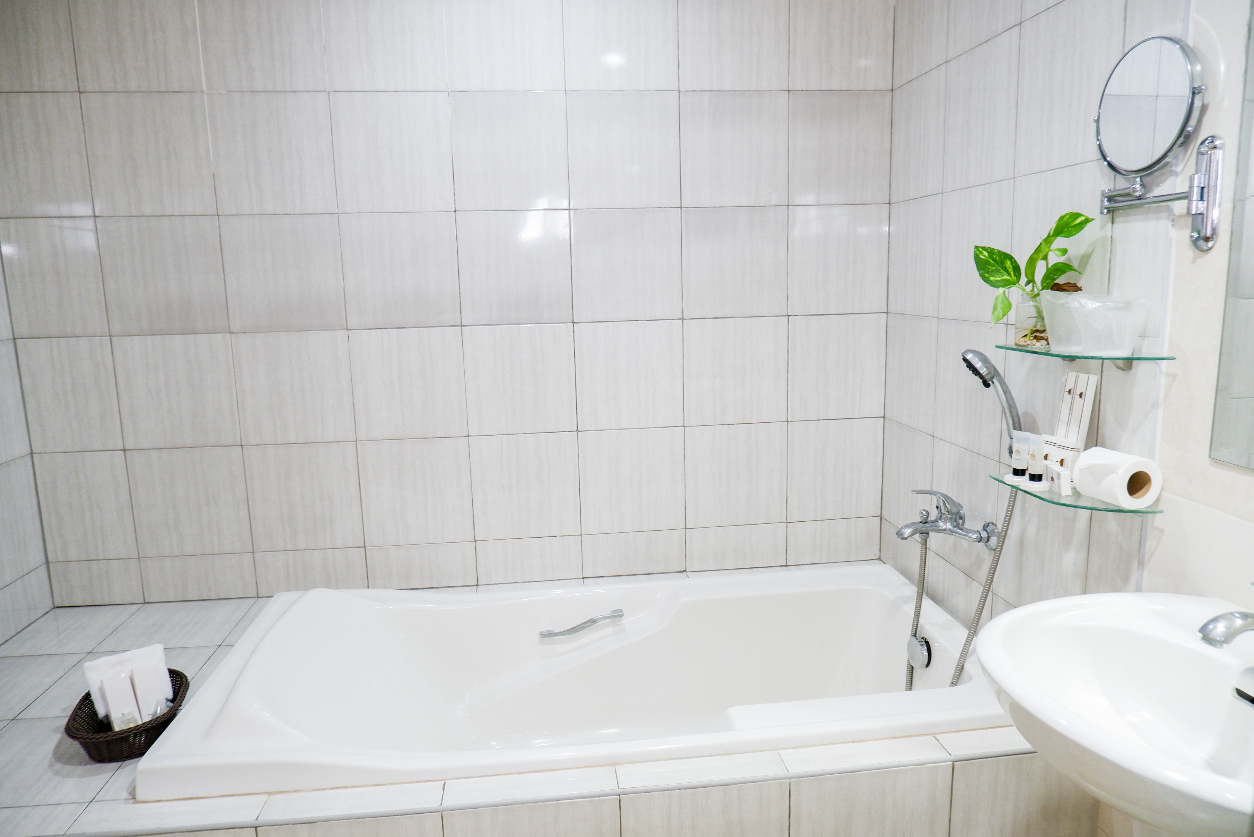 Deluxe Suite Single Occupancy - View 6