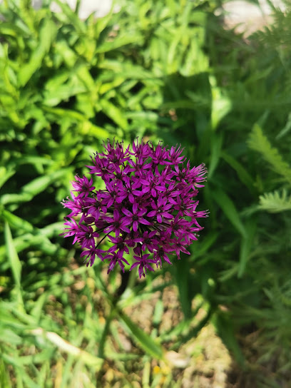 Vízvezetékszerelés, Budapest 4. kerület - Újpest