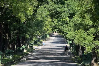 Fogaskerekű vasút, Budapest