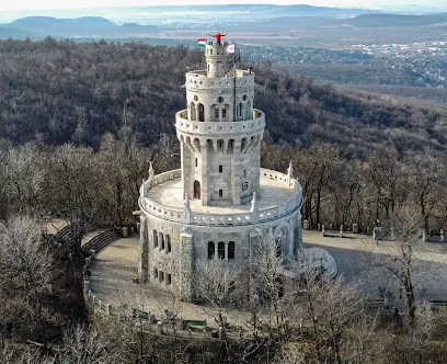 Gyermekvasút, Budapest