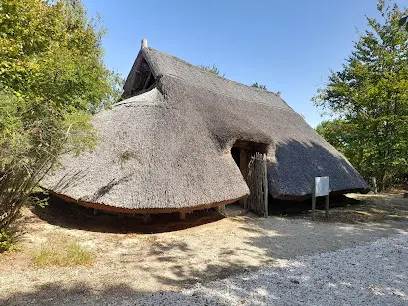 Százhalombattai halomsírok