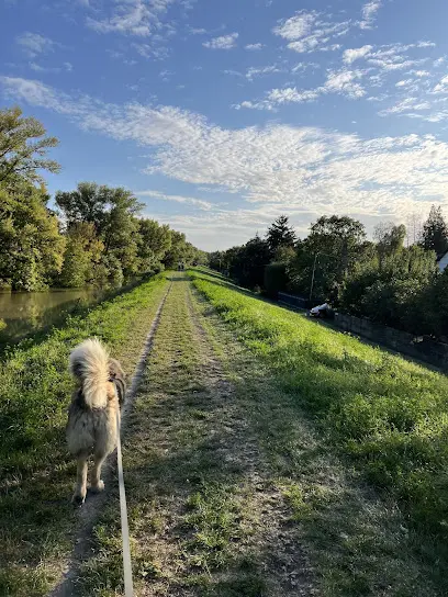 Dunafüred, Százhalombatta