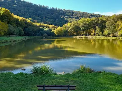 Malom-völgy, Törökbálint