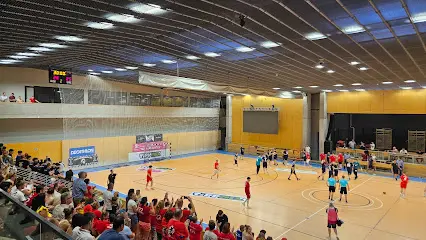 Városi Sportcsarnok, Budaörs