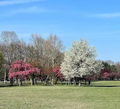 Hajógyári-sziget, Budapest