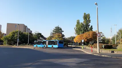 Újpesti Városkapu, Budapest